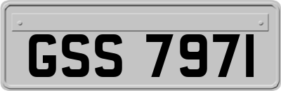 GSS7971