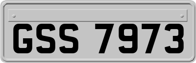 GSS7973