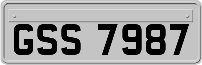 GSS7987