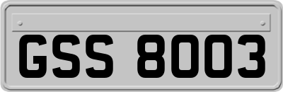 GSS8003