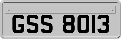 GSS8013