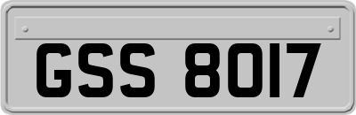 GSS8017