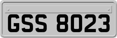 GSS8023