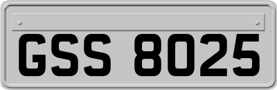 GSS8025