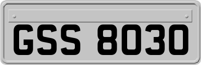 GSS8030