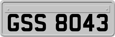 GSS8043