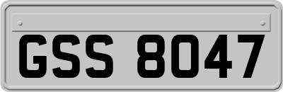 GSS8047