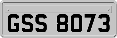 GSS8073