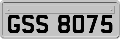 GSS8075