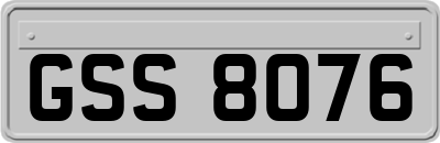 GSS8076