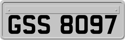 GSS8097