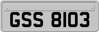 GSS8103