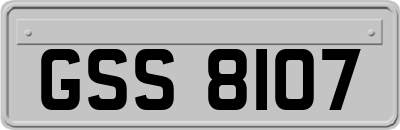 GSS8107