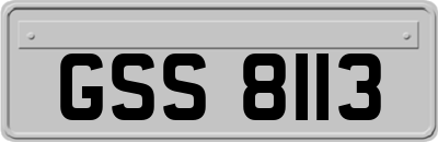 GSS8113