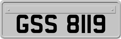 GSS8119