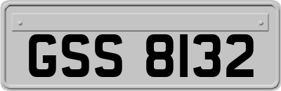 GSS8132