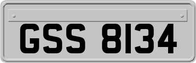 GSS8134