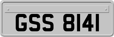 GSS8141