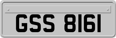GSS8161