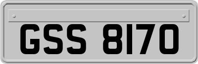 GSS8170