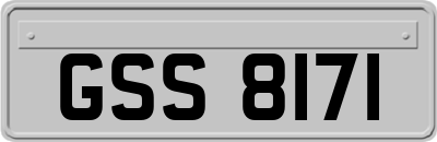 GSS8171