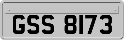 GSS8173