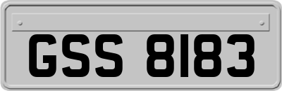 GSS8183