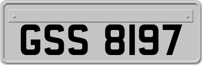 GSS8197