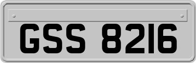 GSS8216