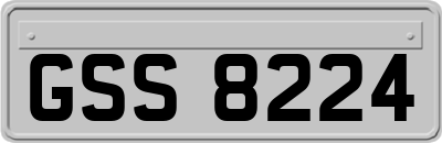 GSS8224