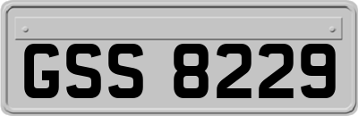 GSS8229
