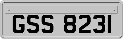 GSS8231