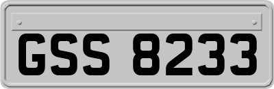 GSS8233