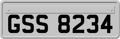 GSS8234