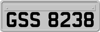 GSS8238