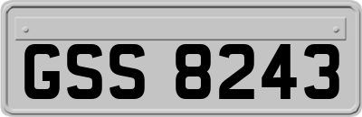 GSS8243