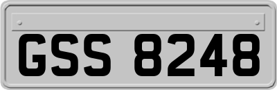 GSS8248