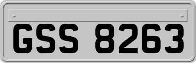 GSS8263