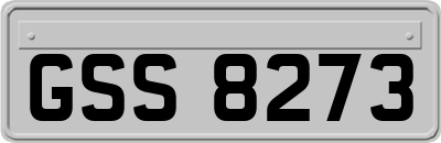 GSS8273