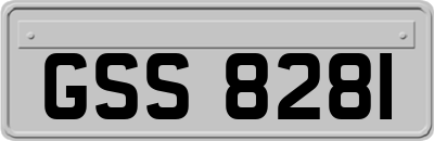 GSS8281