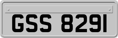 GSS8291