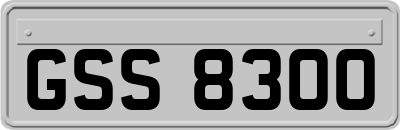 GSS8300