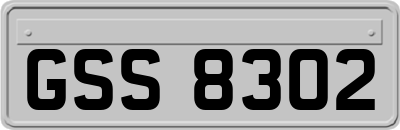 GSS8302