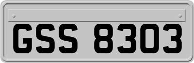 GSS8303