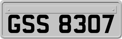 GSS8307