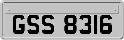 GSS8316