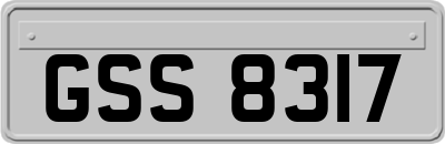 GSS8317