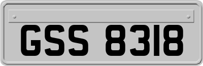 GSS8318