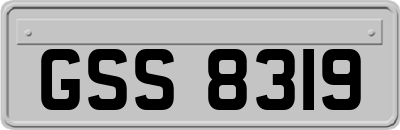 GSS8319