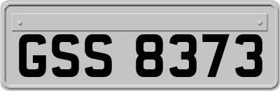 GSS8373